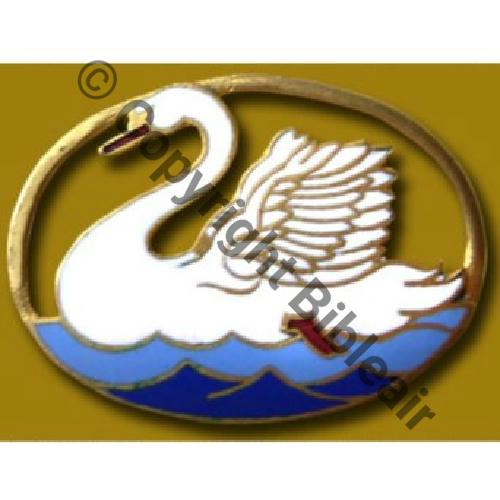 52.1.2  1932.42 A1493NH BR.111 2eDRILLE GR.1.52 DrPNBer Past DrPN a fenetre Dos lisse No117 Src.JR.BOTTELIN via A.DENIS 